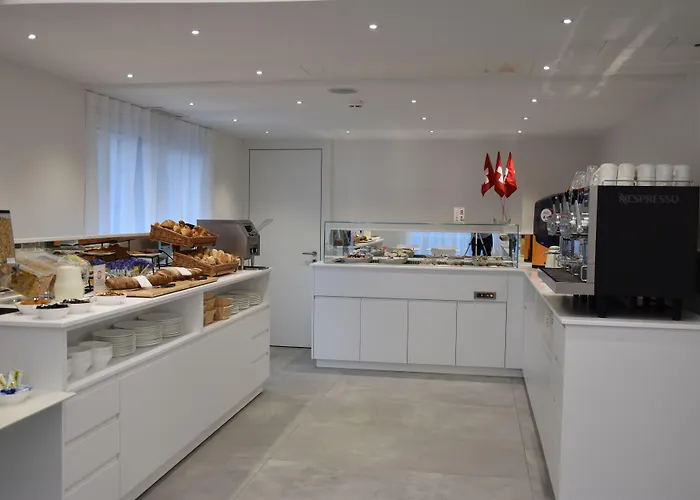 호텔 시티 로카르노 호텔 3*