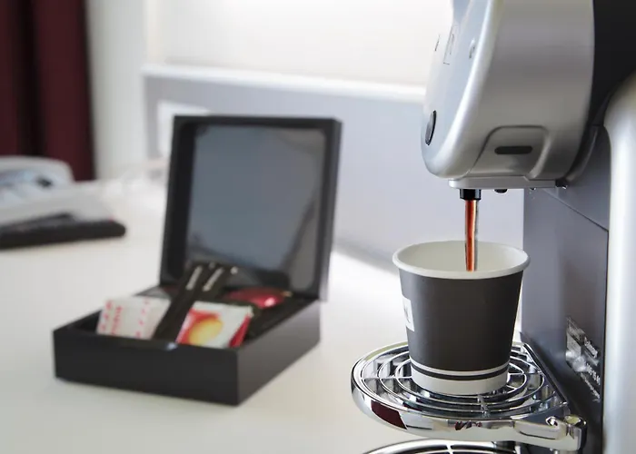 호텔 시티 로카르노 3*